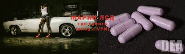 прущие крисы Новый Уренгой