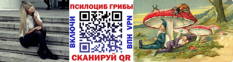 OMG ТОР  Абаза  Галлюциногенные грибы мухоморы 