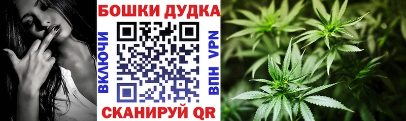 цена наркотик  Абаза  Марихуана планчик 